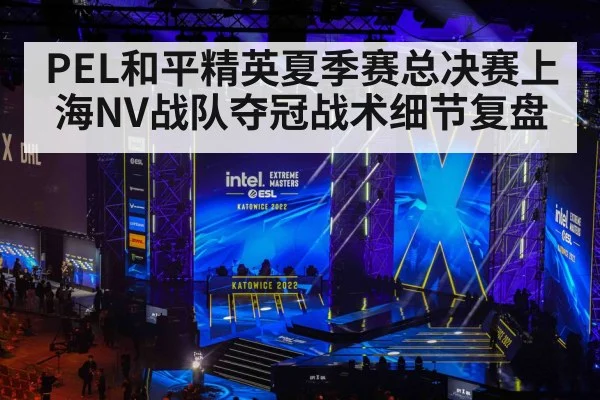 PEL和平精英夏季赛总决赛上海NV战队夺冠战术细节复盘 - huobo sports